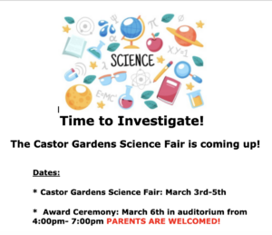 Science Fair Flyer